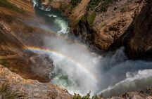 Yellowstone & Grand Teton National Parks: Small Group 4-Day Tour