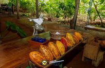 Combo 3: Manuel Antonio Park Tour & Chocolate Tour