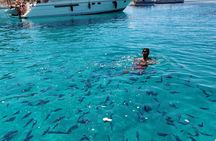 Private Half Day Speedboat tour to Kornati National Park