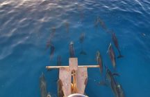 2-Hour Sunset Cruise in Honolulu