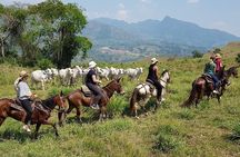 Private Horseback Riding Tour around Cattle Ranch from Medellin