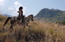 Private Horseback Riding Tour around Cattle Ranch from Medellin
