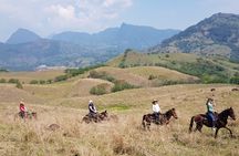 Private Horseback Riding Tour around Cattle Ranch from Medellin