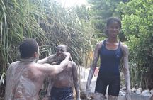 Volcanic Tour and Botanical Gardens