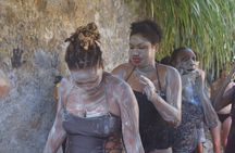 Volcanic Tour and Botanical Gardens
