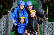 Zipline and Tarzang Swing Experience in San Carlos