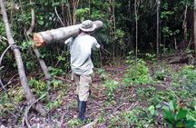 7-Day Jungle Survival Training in Iquitos 