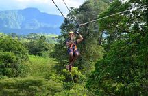 Zipline and Tarzang Swing Experience in San Carlos
