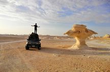 Camping in the White & Black Desert ( Bahariya Oasis) & Cairo Private transfer