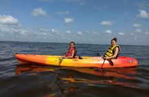 Sunset kayaking tour at Manatee Cove with Manatee & Dolphin sightings