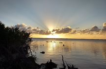Sunset kayaking tour at Manatee Cove with Manatee & Dolphin sightings