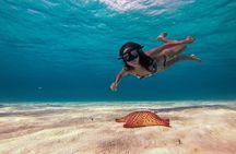Cozumel Snorkeling Tour: Palancar, Columbia and El Cielo Reefs