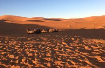 3-Day Private Desert Tour from Fes to Marrakech 