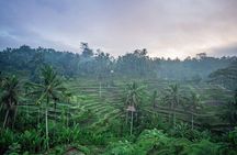 Bali Sensational: Ubud and Tanah Lot Temple Tour