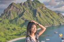 Daily Trip Highlight Komodo Archipelago by Speed Boat