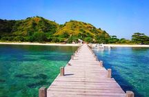 Daily Trip Highlight Komodo Archipelago by Speed Boat