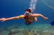 Snuba Underwater Experience in Downtown Cozumel