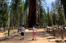 Yosemite Full-Day Private Tour from San Francisco