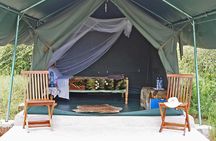 3-Day Budget Maasai Mara Joining Safari with 4x4 LandCruiser Jeep