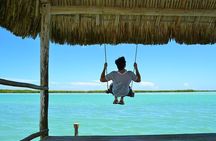Las Coloradas & Rio Lagartos Biosphere! Transportation from Playa Del Carmen
