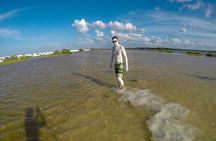 Las Coloradas & Rio Lagartos Biosphere! Transportation from Playa Del Carmen