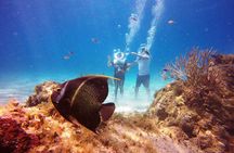 Sea Trek Adventure at Chankanaab National Park