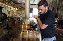Olive oils, Gourmet products and Wines