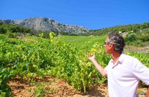 Twice the Wine - Two wineries half day tour, with delicacies