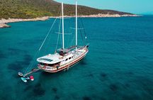 Bodrum Vip Private Gulet Tour 