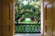 Half-Day Oak Alley Plantation Tour in Vacherie