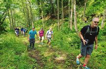 Private Hiking Tour to Machakhela National Park from Batumi