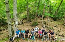 Private Hiking Tour to Machakhela National Park from Batumi