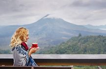 Private Tour: Best of Bali - All Inclusive Tickets