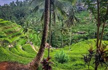 Private Tour: Best of Bali - All Inclusive Tickets