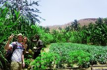 Cape Verde: Best trails of Santiago and Fogo islands