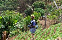 Cape Verde: Best trails of Santiago and Fogo islands