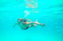 Private Speedboat tour "Zadar Islands - Off the Beaten Path"