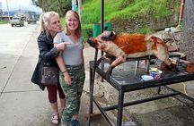 4 or 5 Day Quito to Cuenca and Cotopaxi,Quilotoa,Baños,Chimborazo
