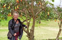 4 or 5-Day Tour Cuenca,Alausi,Baños,Quilotoa,Cotopaxi and Quito