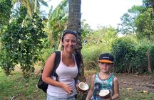 'Walk-about' Tour: explore Rarotonga by foot!