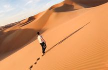 Liwa Full Day Desert Safari (exploring)