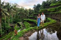 Full-Day in Bali: Amazing Ubud Tour