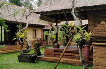 Bali Tour: Kintamani Tour with Lunch
