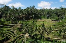 Private Tour: 5 Days Bali Tour Package with Airport Transfer