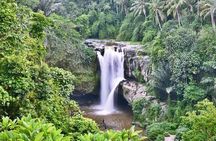 Private Tour: Incredible 6 Days Bali Tour Package with Airport Transfer