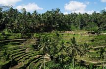 Private Tour: Incredible 6 Days Bali Tour Package with Airport Transfer