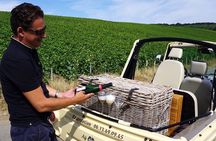 Guided tour of the Aÿ vineyard and Champagne tasting