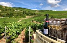 Guided tour of the Aÿ vineyard and Champagne tasting