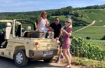 Guided tour of the Aÿ vineyard and Champagne tasting