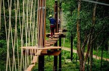 Hue: Full-day Nature’s Bliss From Hot Springs To Zip Line